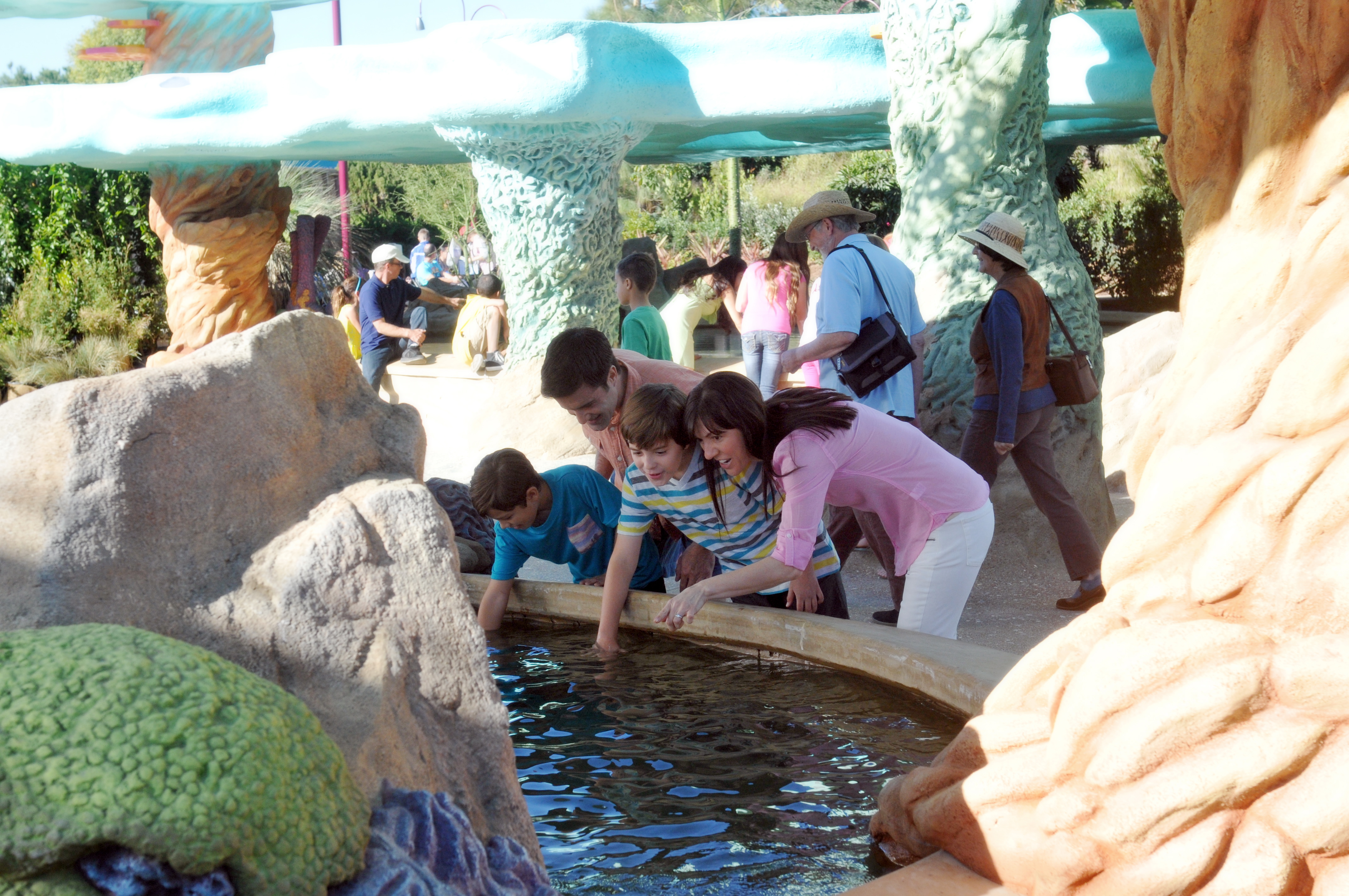 waterhazards/seaworldkids.jpg